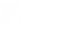 logo-200